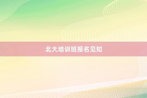 北大培训班报名见知
