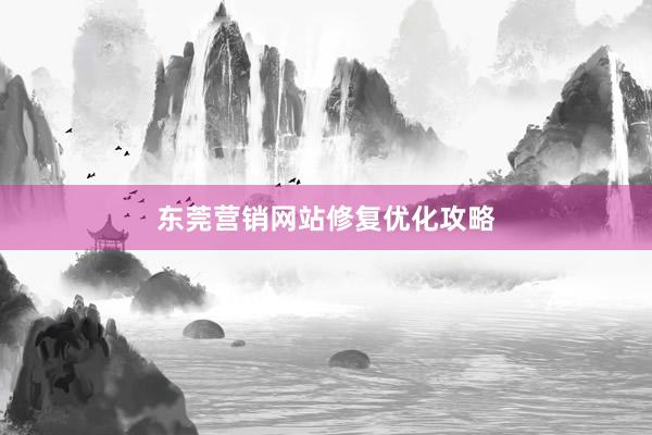东莞营销网站修复优化攻略