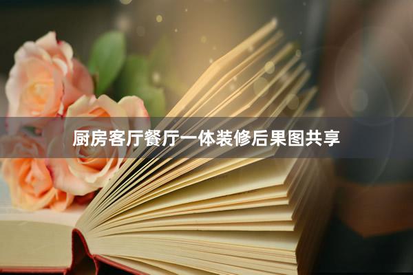 厨房客厅餐厅一体装修后果图共享