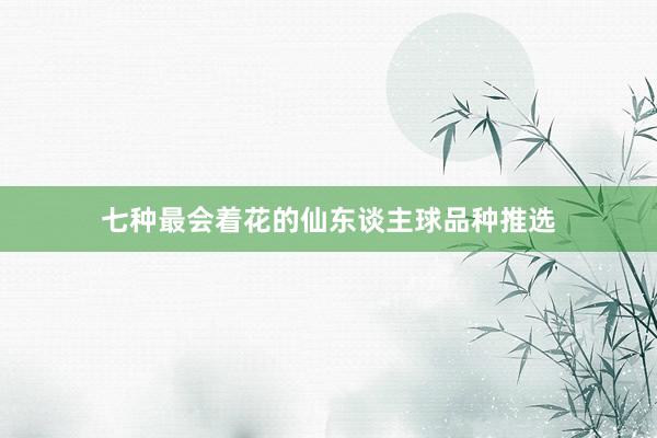 七种最会着花的仙东谈主球品种推选