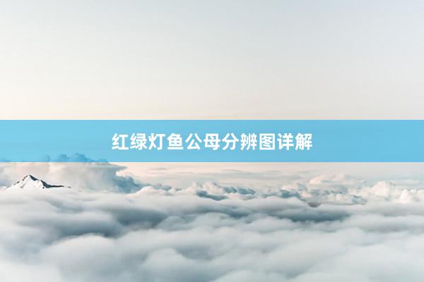 红绿灯鱼公母分辨图详解