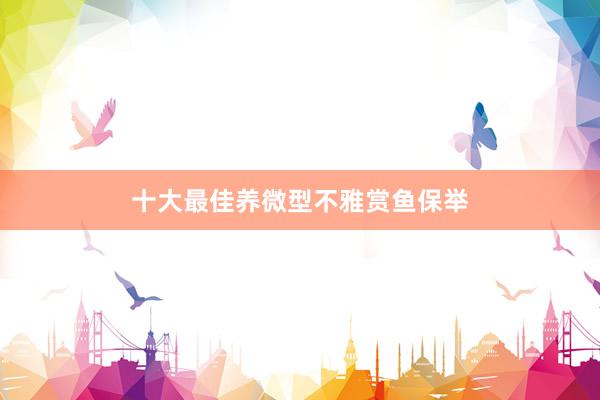 十大最佳养微型不雅赏鱼保举