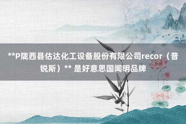 **P陇西县估达化工设备股份有限公司recor（普锐斯）** 是好意思国闻明品牌
